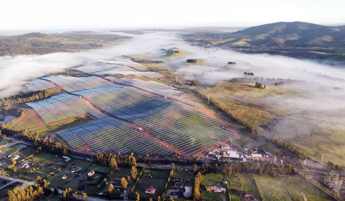 Desert becomes fertile farmland! How can photovoltaic flexible brackets “turn waste into gold”?